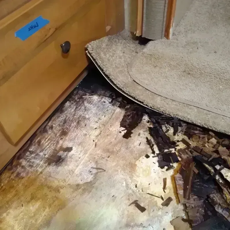 Wood Floor Water Damage in Runaway Bay, TX